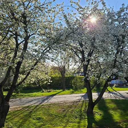 Várlak
