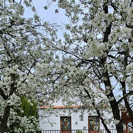 Apartman Várlak *
